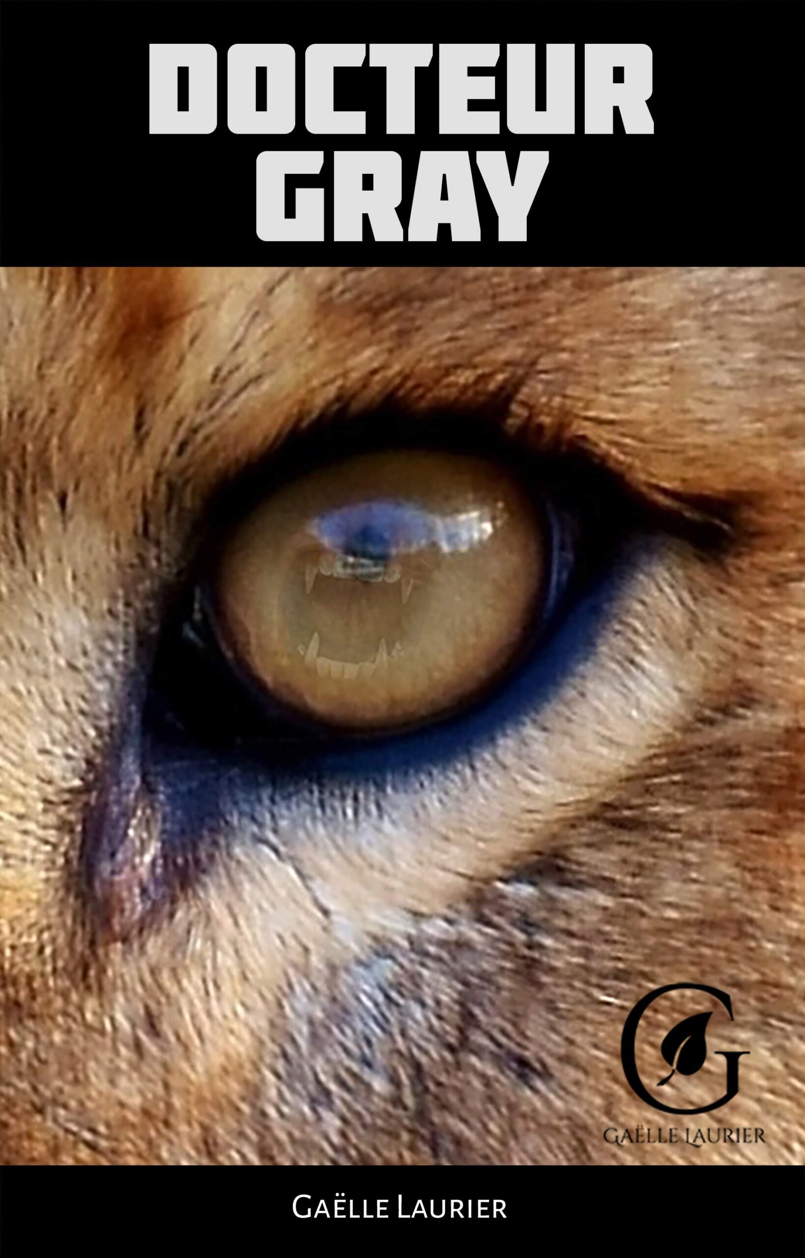 Illustration de l'article Chronique du Docteur Gray par Fildediane’s weblog