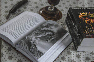 Read more about the article Game of throne, mon avis sur la fin